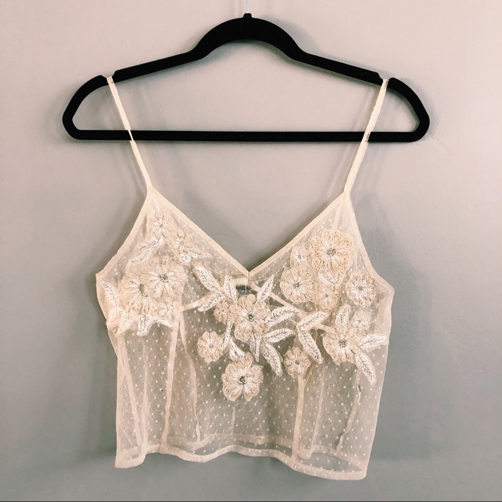 Zara Sheer Crop Top
